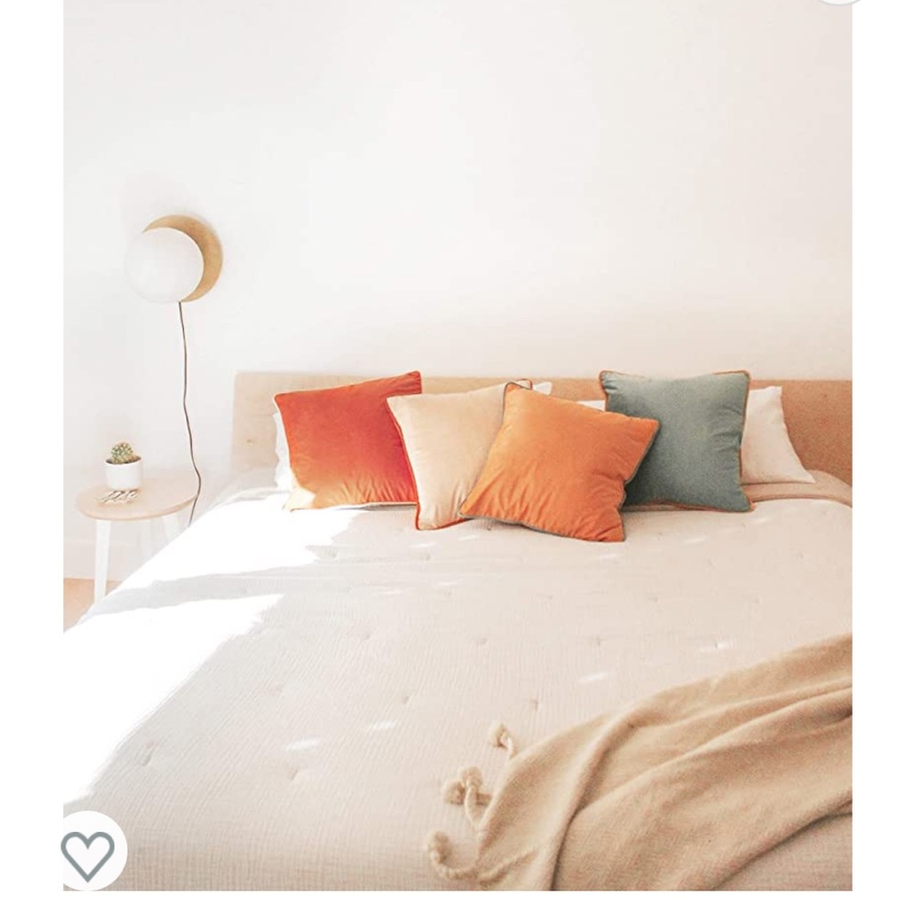 18 x 18 velvet pillow covers!